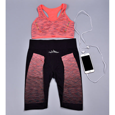 New Gradient Sports Bra and Yoga Outfit Set for Women